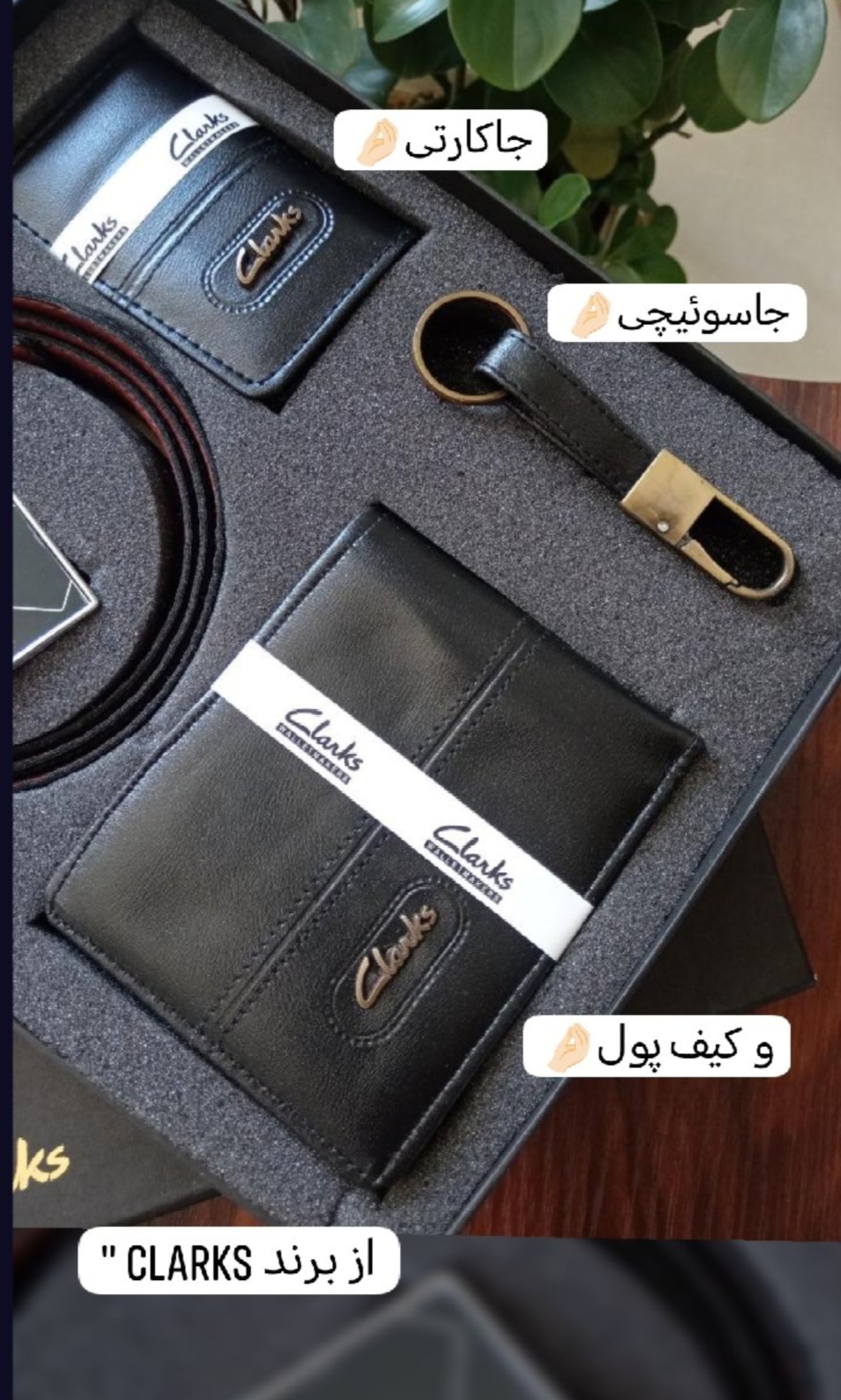 ست کادویی کلارکس